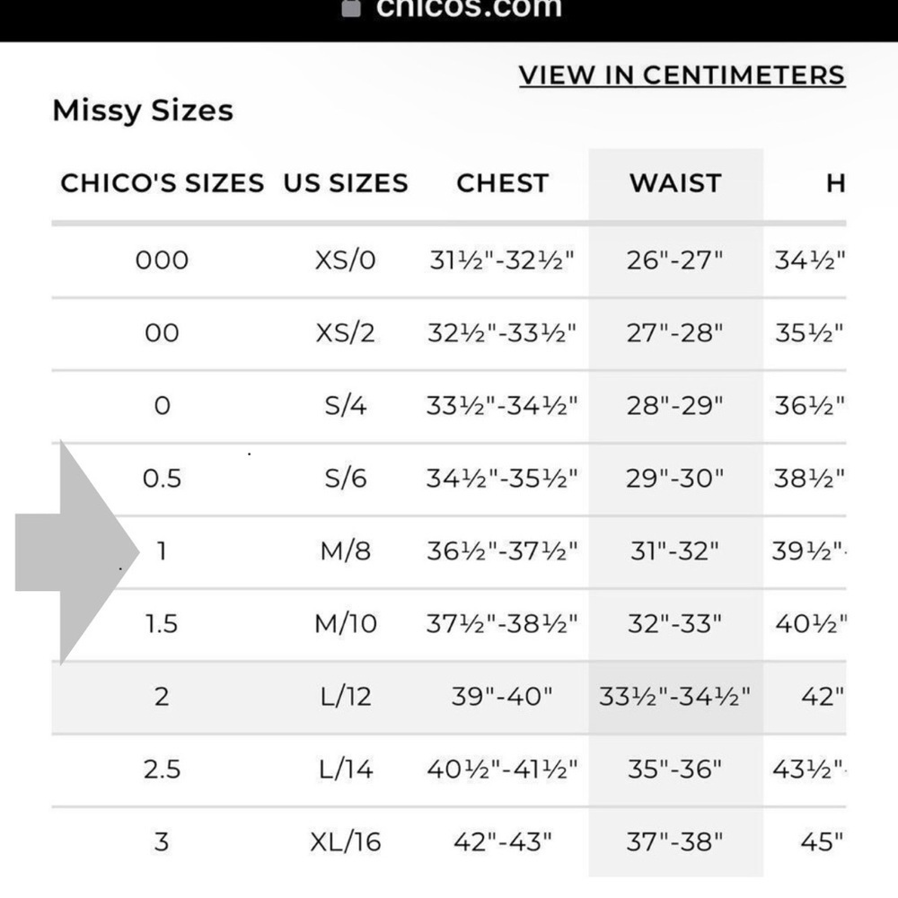 Chico's Velvet Floral Dress Size Medium 3/4 Bell Sleeve Pullover Stretch EUC - Picture 9 of 9